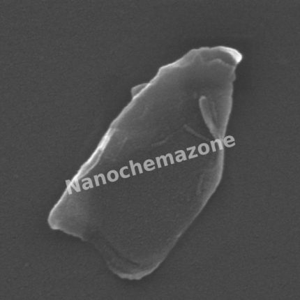 Graphene Oxide Sheet with Large Diameter
