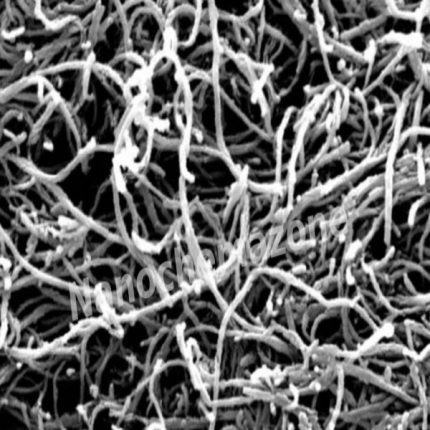 High Purity (>95%) Short Hydroxylate Multi-walled Carbon Nanotube, 25g