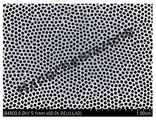 Double-pass AAO template(circle, D=12mm) (236993)