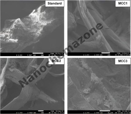 Hemicellulose(from Bagasse) (353510)