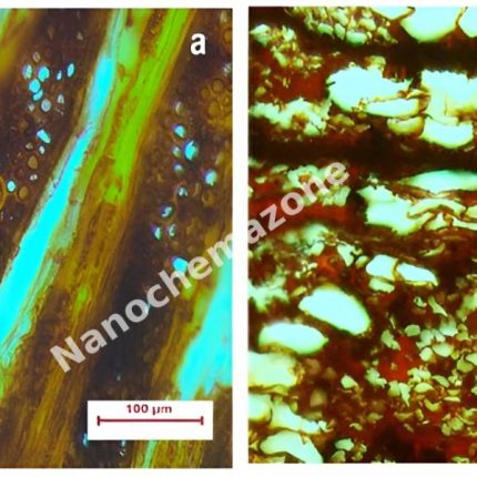 Hemicellulose(from Bamboo) (453510)