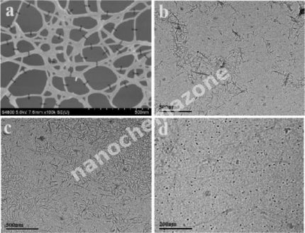 Original CNF (without modification) UM-CNF-PL30-Paste