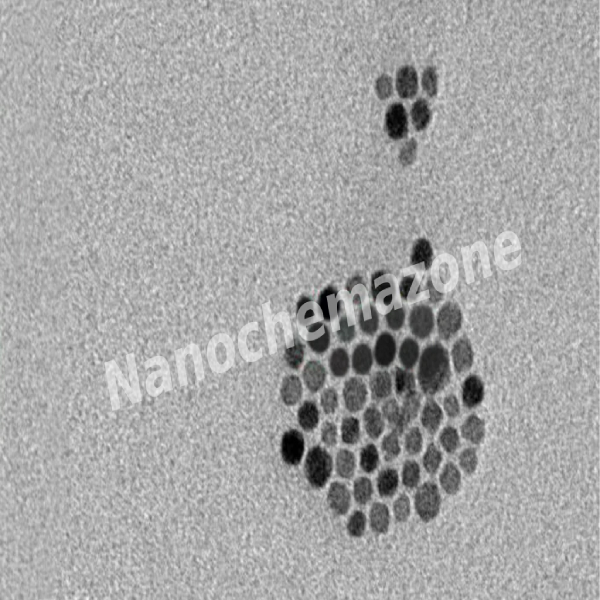 Streptavidin Modified Fe3O4 Nanoparticles Water Solution, 1 mg/mL