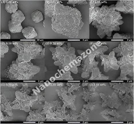 H-ZSM-48(SiO2/Al2O3≥500) (228853)